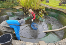 Cleaner Pond