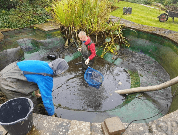 Cleaner Pond