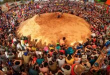 competitive performance data analysis