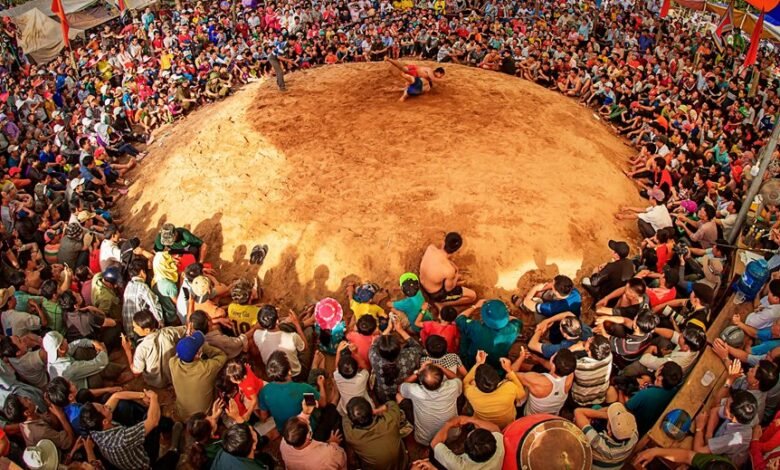 competitive performance data analysis