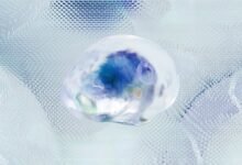 executive decision making data